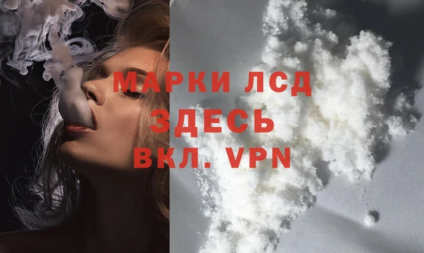 ешки Новозыбков