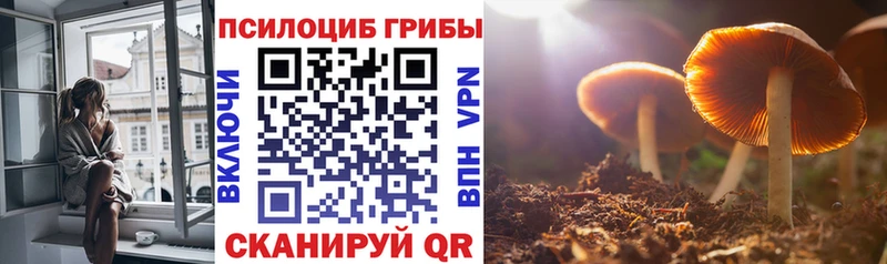 как найти закладки  Лабытнанги  Псилоцибиновые грибы Psilocybe 